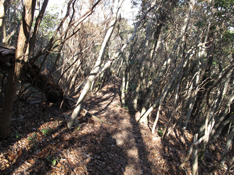20140103hike (122)